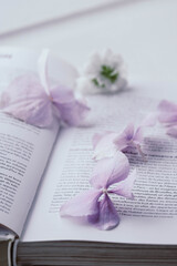 Flower composition lays on the book, romantic vintage floral concept.