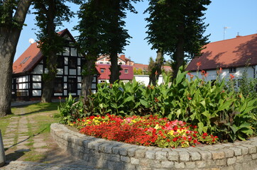 Fototapeta premium kwiat, roz, kwiat, jardin, charakter, roślin, zieleń, kwiat, kwiat, jary, lato, kwiatowy, czerwień, flora, piękne, beuty, fiolet, petunia, busz, kwitnienie, ogrodnictwo, park, barwa, azalia