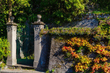 Fototapeta na wymiar An old gate covered with multicolored wild grapes in a stone house on a street in Varenna, a small town on lake Como, Italy