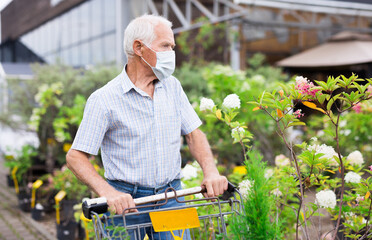 mature Caucasian male retired in medical mask protecting from the virus buying plant for home garden in store