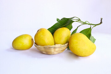 Fresh and delicious Alphonso mango.