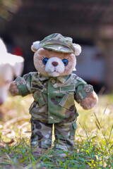 A teddy bear wearing a military uniform