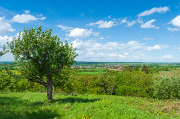 Fototapeta na wymiar View from the Derdinger Horn by Oberderdingen
