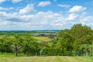 View from the Derdinger Horn by Oberderdingen
