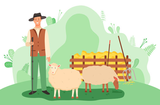Young smiling shepherd in hat with stick stands near the sheep on green meadow. Haystack, rake, spade. Shepherd on green agriculture and grazing. Attraction and accumulation of capital. Flat image