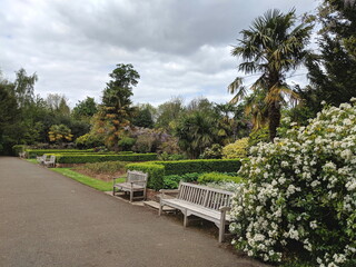 bench in the park