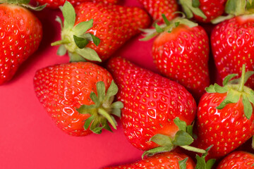 Ripe juicy orgaic strawberries on a red background.