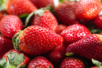 fresas - España - Andalucía - Sevilla