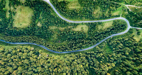 The road in the forest was shot from a bird's eye view. Photo taken with a drone.