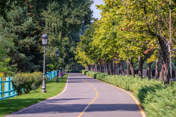 Empty curved road, street lamps, wooden fence and green trees