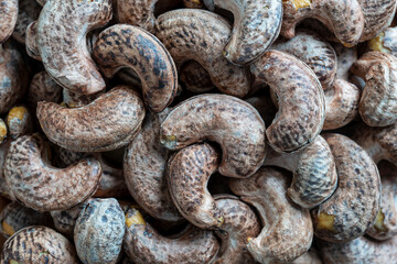 Roasted cashew nuts with shell in background, close up, top view