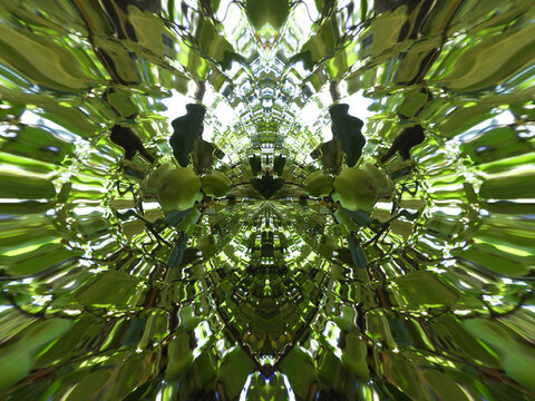 Illustration of nature kaleidoscope pattern as a background
