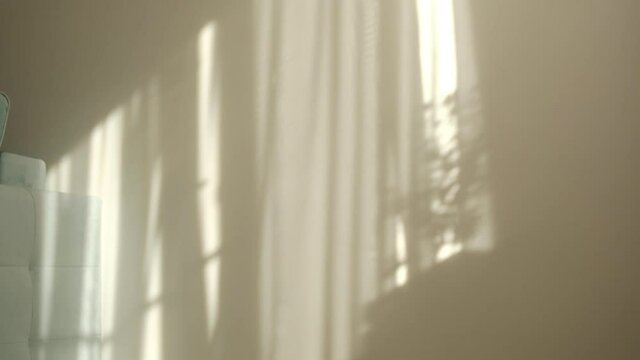 Morning sun lighting the room, shadow background overlays. Waving white tulle near the window.