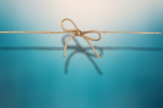 Bow.