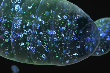 Mitochondria floating on black background. Close up zoom shot. 3d render