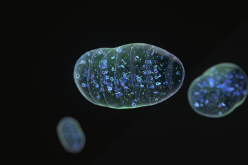 Mitochondria floating on black background. 3d render