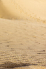 Fototapeta na wymiar Close view of a sand dune