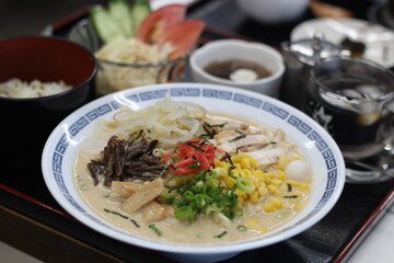Close up of delicious pork mixed cold noodles, Japanese food, soft focus, Kumamoto, Japan