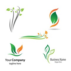 Fototapeta premium Leaf logo images