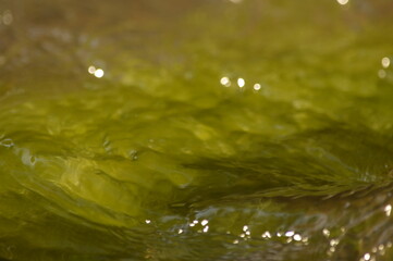 Agua del Valle Grande, San Rafael, Mendoza, Argentina