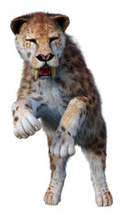 3D Rendering Sabertooth Tiger on White
