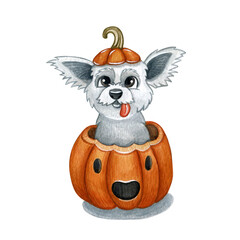 Watercolor illustration of a funny dog. Hand made character. Cartoon style illustration. Halloween. Autumn.