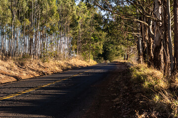 Uma volta pelo interior de Minas Gerais