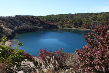 Naklejka premium Beautiful Autumn landscape at Ebino Plateau, Kirishima, South Kyushu, Japan