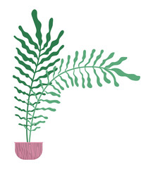 Pot with houseplant isolated at white background. Vector flowerpot of decorative green plant with long leaves in ceramic pot. Indoor plant concept of domestic greenery. Icon for home interior plant