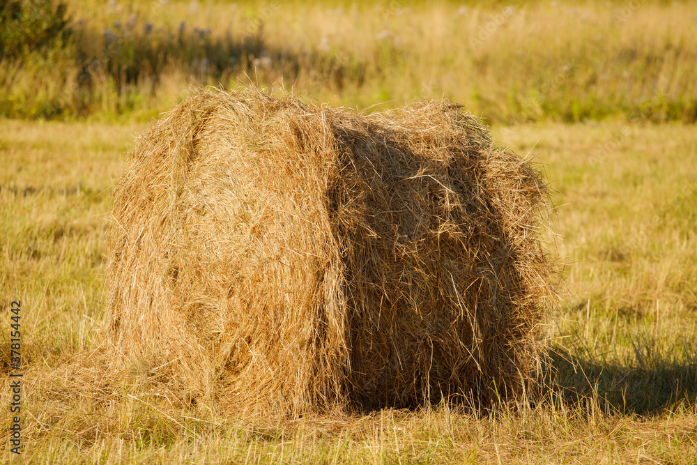 Poster rolls of hay on an agricultural field in autumn. horizontal frame