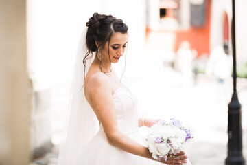 Beautiful luxury bride in elegant white dress