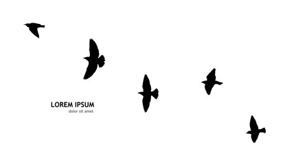 A flock of flying birds. Vector illustration