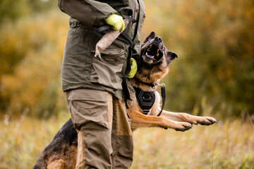 A police officer with a service dog