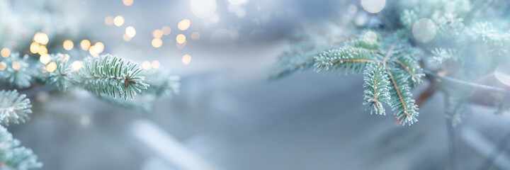 Winter impressions with pine branches
Winter impressions with frosty fir branches. Horizontal gray...