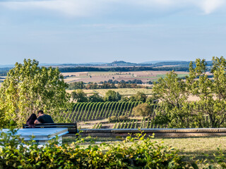 Weinberge im Spätsommer