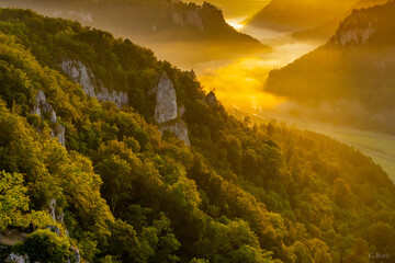 Sonnenaufgang im Donautal 