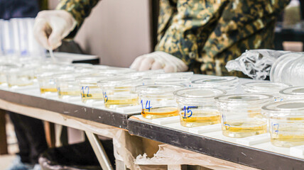 Several clear cups of urine were placed on the table, ready for the inspector to examine the narcotics contained in the urine. With a blurred background as a drug inspector.