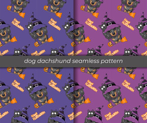 Fototapeta na wymiar set of cartoon dog dachshund seamless pattern