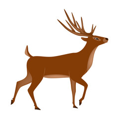 Deer walking isolated on white,  3d vector illustration