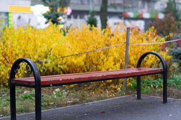 A bench for rest in the park near a beautiful yellow bush. Rest in the park.