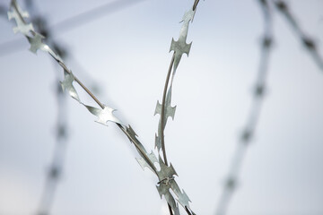 barbed wire on a fence, close up