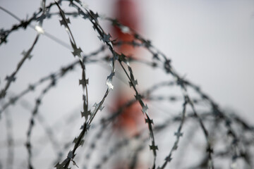 barbed wire on a fence, close up