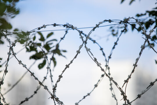 barbed wire on a fence, close up
