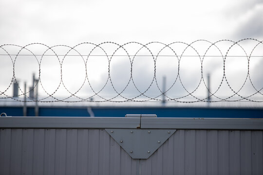 barbed wire on a fence, close up