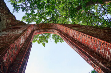 Medieval ruined monastery in a public park in Greifswald, Germany.
