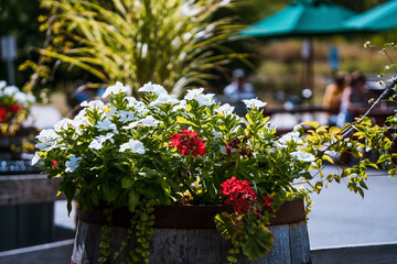 Fototapeta na wymiar Outdoor flowers and dining