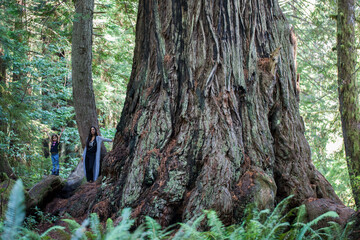 Mother and child next to a huge trunk of a Sequoia tree
