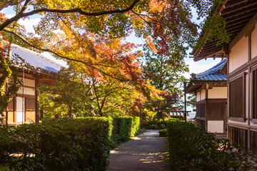 Jojakko-ji Temple is a quaint temple on the main Arashiyama in beautiful autumn season, Kyoto, Japan.