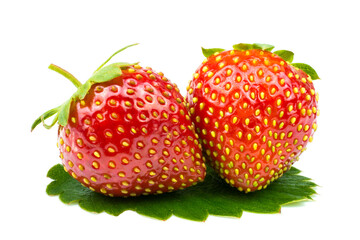 Two fresh strawberries on a green leaf isolated on a white background.