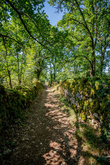 Sur le chemin des Ruines de Taillefer
